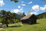 Alpine Cabin Download Jigsaw Puzzle