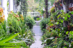 Carolina Garden Path Download Jigsaw Puzzle