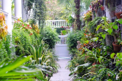 Carolina Garden Path Download Jigsaw Puzzle