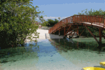 Bridge Download Jigsaw Puzzle