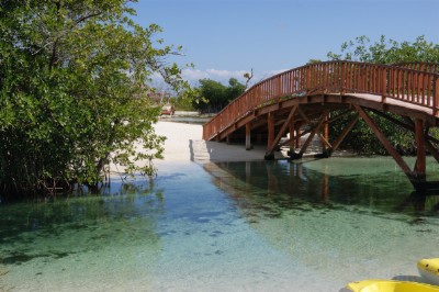 Bridge Download Jigsaw Puzzle