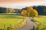 Autumn River With Door Download Jigsaw Puzzle