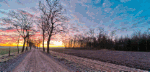 Dirt Road Download Jigsaw Puzzle