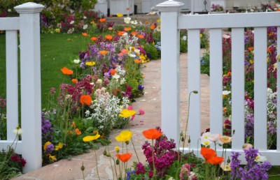 Fence Download Jigsaw Puzzle