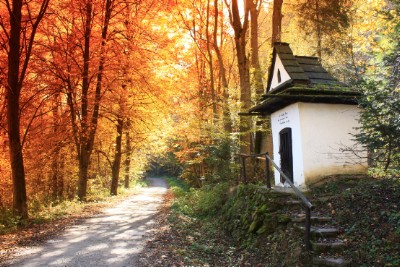 Autumn Boulevard Download Jigsaw Puzzle