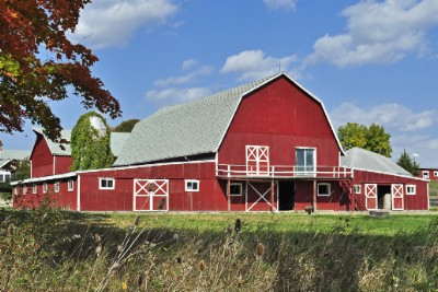 Horse Ranch Download Jigsaw Puzzle