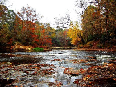 Autumn River Download Jigsaw Puzzle