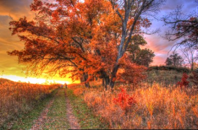 Sunset Over Hiking Trail Download Jigsaw Puzzle