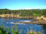 Oregon Coast Download Jigsaw Puzzle