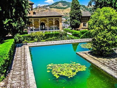 Pool Garden Download Jigsaw Puzzle