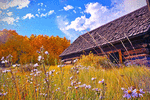 Log Cabin Download Jigsaw Puzzle