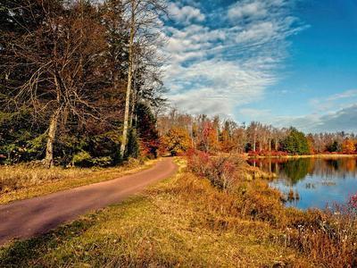 Lakeside Road Download Jigsaw Puzzle