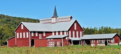 Farm Download Jigsaw Puzzle