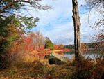 Lake Download Jigsaw Puzzle