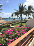 Ocean View Download Jigsaw Puzzle