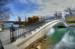 Bridge Download Jigsaw Puzzle