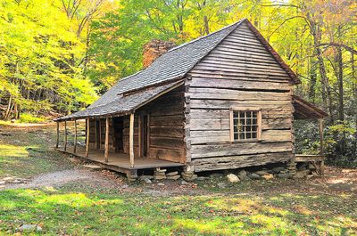 Mountain Cabin Download Jigsaw Puzzle