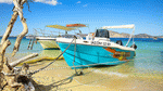 Boats Download Jigsaw Puzzle