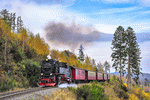 Train, Germany Download Jigsaw Puzzle