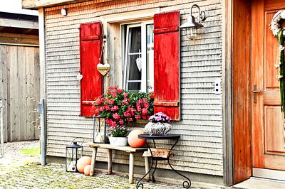 Window With Flowers Download Jigsaw Puzzle