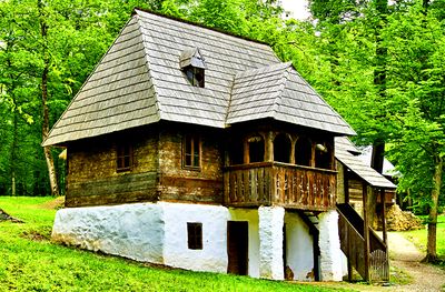 Forest Cottage Download Jigsaw Puzzle