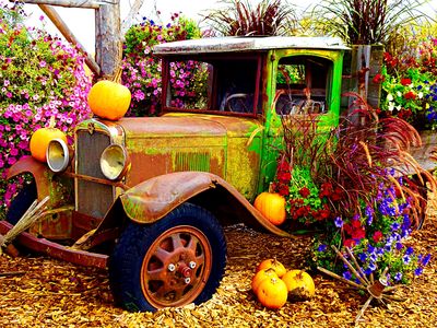 Flowers Download Jigsaw Puzzle