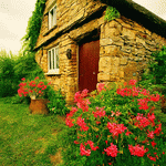 Flowers Download Jigsaw Puzzle