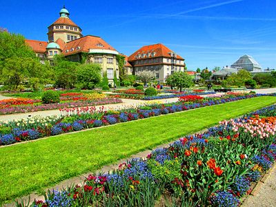 Flowers Download Jigsaw Puzzle